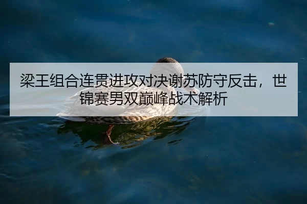 liang-wang-zu-he-lian-guan-jin-gong-dui-jue-xie-su-fang-shou-fan-ji-shi-jin-sai-nan-shuang-dian-feng-zhan-shu-jie-xi-2-546.jpg