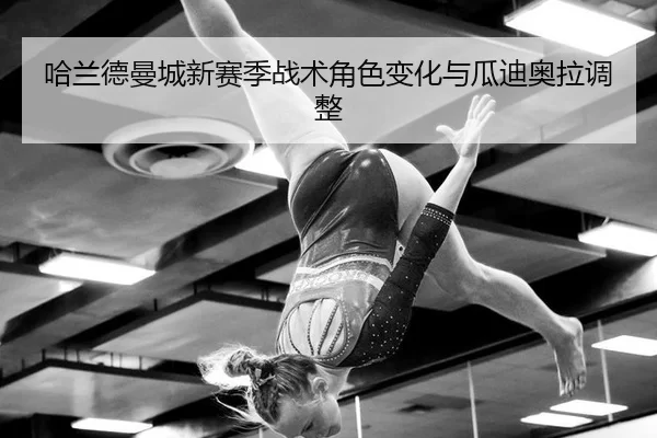 ha-lan-de-man-cheng-xin-sai-ji-zhan-shu-jue-se-bian-hua-yu-gua-di-ao-la-tiao-zheng-3-789.jpg